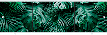 Экран п/в "Premium Collection" Ботаника/Тропики 1,68