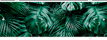 Экран п/в "Premium Collection" Ботаника/Тропики 1,48